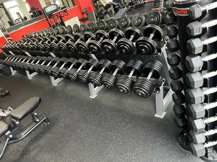 Freihanteln Neustadt